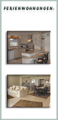 Terraced House_De